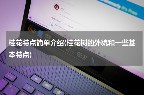 桂花特点简单介绍(桂花树的外貌和一些基本特点)