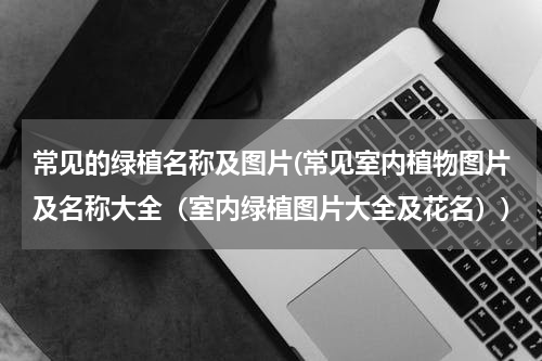 常见的绿植名称及图片(常见室内植物图片及名称大全（室内绿植图片大全及花名）)