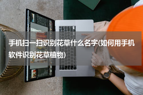手机扫一扫识别花草什么名字(如何用手机软件识别花草植物)