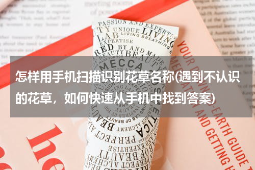 怎样用手机扫描识别花草名称(遇到不认识的花草，如何快速从手机中找到答案)