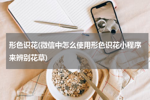 形色识花(微信中怎么使用形色识花小程序来辨别花草)