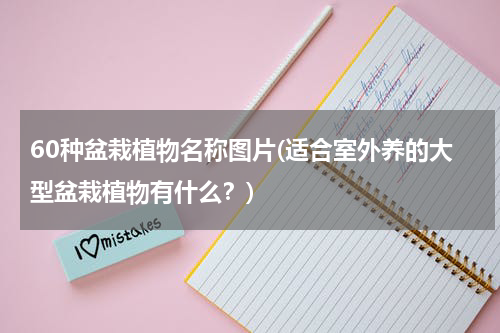 60种盆栽植物名称图片(适合室外养的大型盆栽植物有什么？)