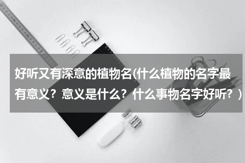 好听又有深意的植物名(什么植物的名字最有意义？意义是什么？什么事物名字好听？)