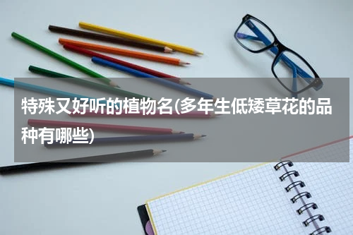 特殊又好听的植物名(多年生低矮草花的品种有哪些)