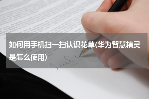 如何用手机扫一扫认识花草(华为智慧精灵是怎么使用)