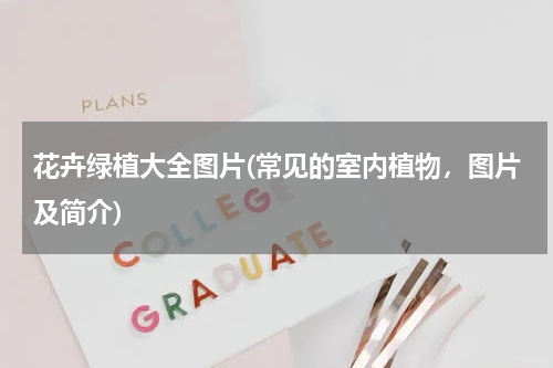 花卉绿植大全图片(常见的室内植物，图片及简介)