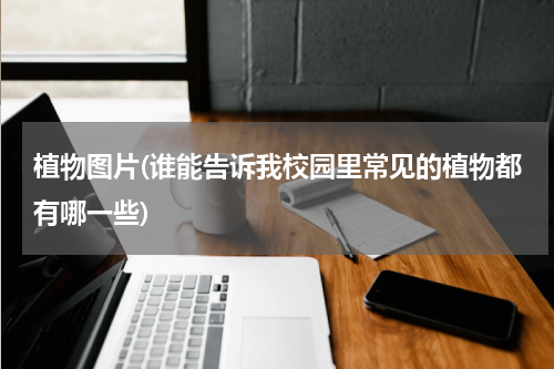 植物图片(谁能告诉我校园里常见的植物都有哪一些)
