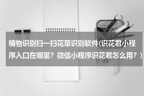 植物识别扫一扫花草识别软件(识花君小程序入口在哪里？微信小程序识花君怎么用？)