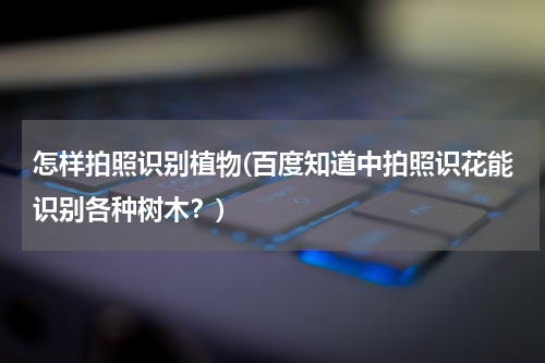 怎样拍照识别植物(百度知道中拍照识花能识别各种树木？)