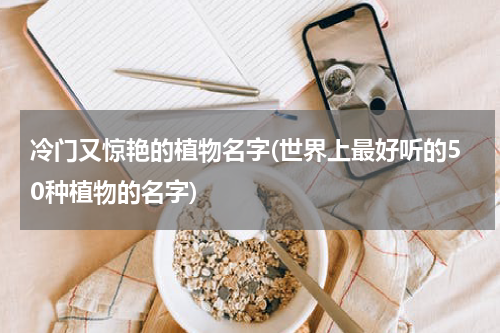 冷门又惊艳的植物名字(世界上最好听的50种植物的名字)
