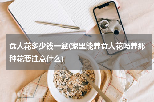 食人花多少钱一盆(家里能养食人花吗养那种花要注意什么)