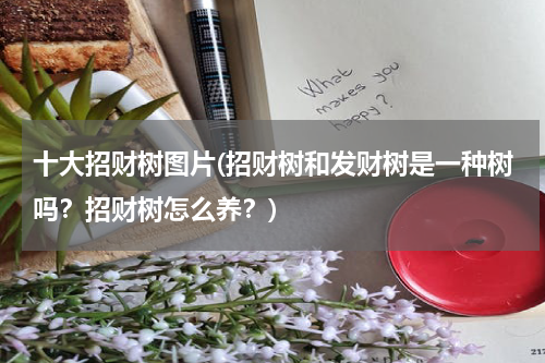 十大招财树图片(招财树和发财树是一种树吗？招财树怎么养？)