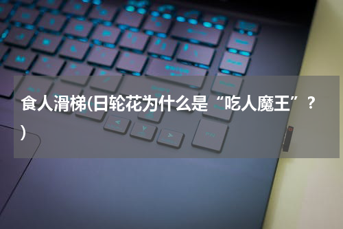 食人滑梯(日轮花为什么是“吃人魔王”？)