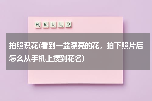 拍照识花(看到一盆漂亮的花，拍下照片后怎么从手机上搜到花名)