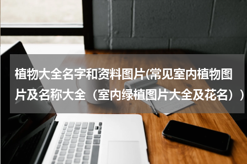 植物大全名字和资料图片(常见室内植物图片及名称大全（室内绿植图片大全及花名）)