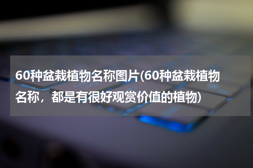 60种盆栽植物名称图片(60种盆栽植物名称，都是有很好观赏价值的植物)