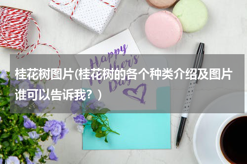 桂花树图片(桂花树的各个种类介绍及图片谁可以告诉我？)