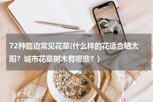 72种路边常见花草(什么样的花适合晒太阳？城市花草树木有哪些？)