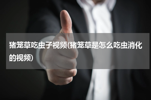 猪笼草吃虫子视频(猪笼草是怎么吃虫消化的视频)