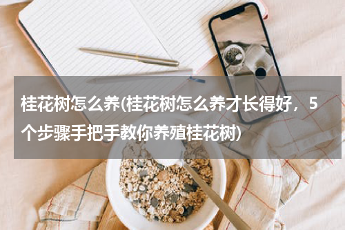 桂花树怎么养(桂花树怎么养才长得好，5个步骤手把手教你养殖桂花树)