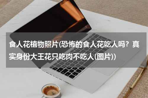 食人花植物照片(恐怖的食人花吃人吗？真实身份大王花只吃肉不吃人(图片))
