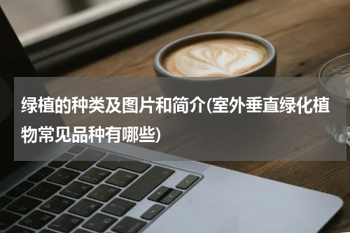 绿植的种类及图片和简介(室外垂直绿化植物常见品种有哪些)