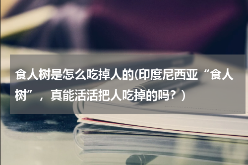 食人树是怎么吃掉人的(印度尼西亚“食人树”，真能活活把人吃掉的吗？)