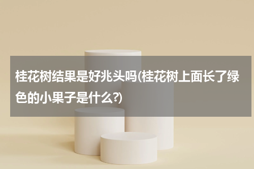 桂花树结果是好兆头吗(桂花树上面长了绿色的小果子是什么?)