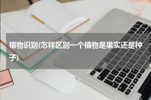 植物识别(怎样区别一个植物是果实还是种子)