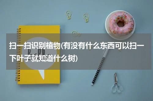 扫一扫识别植物(有没有什么东西可以扫一下叶子就知道什么树)