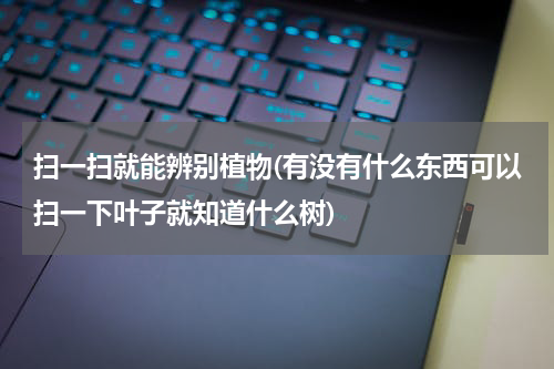 扫一扫就能辨别植物(有没有什么东西可以扫一下叶子就知道什么树)