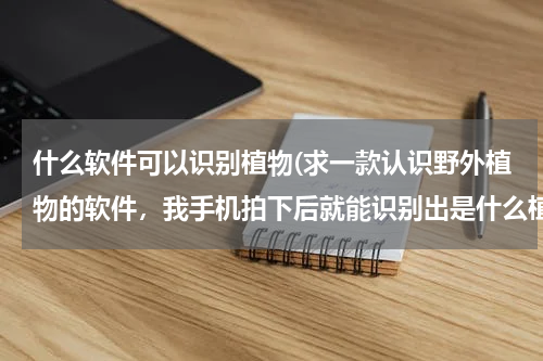 什么软件可以识别植物(求一款认识野外植物的软件，我手机拍下后就能识别出是什么植物的软件，求推荐几个。)