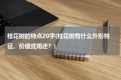 桂花树的特点20字(桂花树有什么外形特征、价值或用途？)