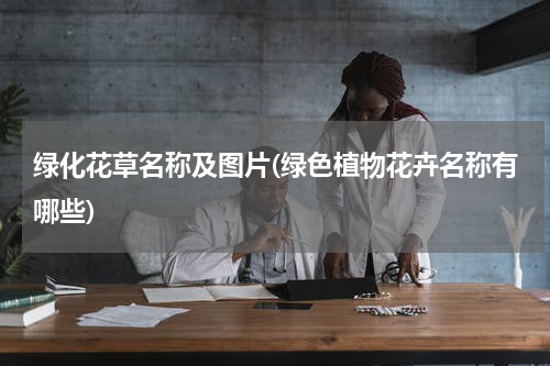 绿化花草名称及图片(绿色植物花卉名称有哪些)