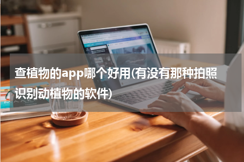 查植物的app哪个好用(有没有那种拍照识别动植物的软件)
