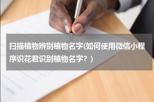 扫描植物辨别植物名字(如何使用微信小程序识花君识别植物名字？)