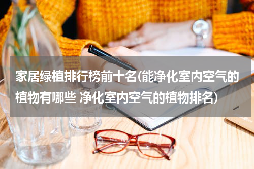 家居绿植排行榜前十名(能净化室内空气的植物有哪些 净化室内空气的植物排名)