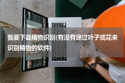 我要下载植物识别(有没有通过叶子或花来识别植物的软件)