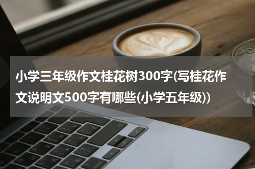 小学三年级作文桂花树300字(写桂花作文说明文500字有哪些(小学五年级))
