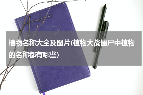 植物名称大全及图片(植物大战僵尸中植物的名称都有哪些)