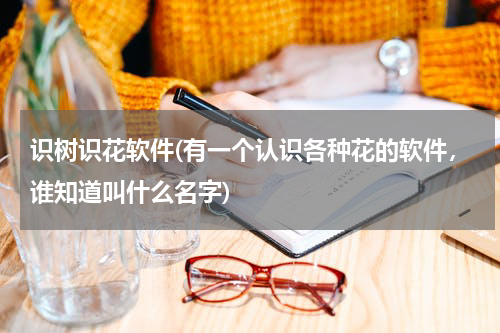 识树识花软件(有一个认识各种花的软件，谁知道叫什么名字)