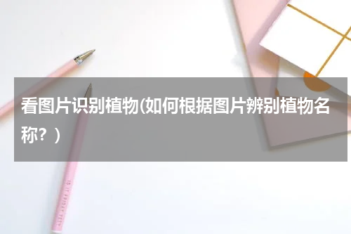 看图片识别植物(如何根据图片辨别植物名称？)