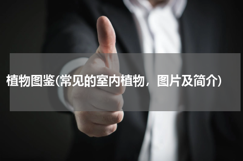 植物图鉴(常见的室内植物，图片及简介)