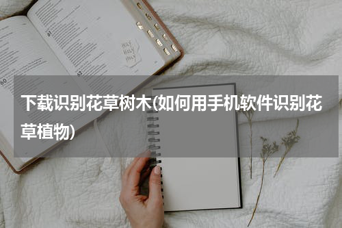下载识别花草树木(如何用手机软件识别花草植物)