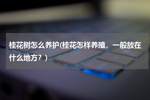 桂花树怎么养护(桂花怎样养殖，一般放在什么地方？)