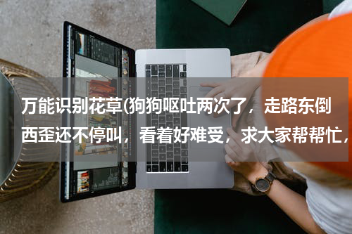 万能识别花草(狗狗呕吐两次了，走路东倒西歪还不停叫，看着好难受，求大家帮帮忙，看看到底什么问题)