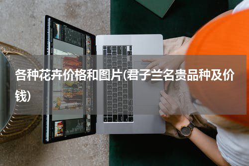 各种花卉价格和图片(君子兰名贵品种及价钱)