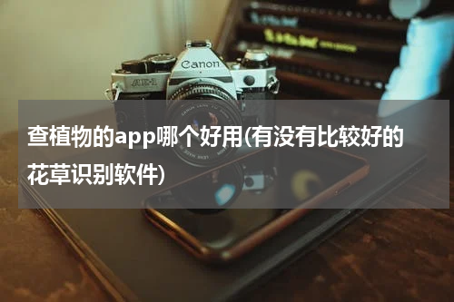 查植物的app哪个好用(有没有比较好的花草识别软件)