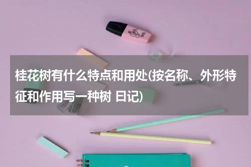 桂花树有什么特点和用处(按名称、外形特征和作用写一种树 曰记)