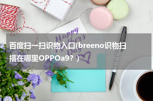 百度扫一扫识物入口(breeno识物扫描在哪里OPPOa9？)